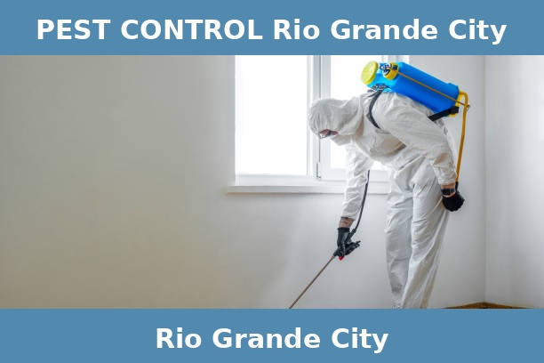 PEST CONTROL Rio Grande City